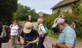 Trail Walking Beynes - Sortie du 08/06/2017 - Photo 6