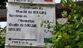 Excursión Senderismo Doische - SOULME (Moulin) - Photo 3