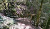 Trail Walking Poligny - Poligny 15 km prj 20170609 - Photo 14