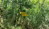 Trail Walking Poligny - Poligny 15 km prj 20170609 - Photo 9