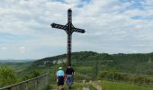 Excursión Senderismo Poligny - Poligny 15 km prj 20170609 - Photo 4