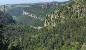 Randonnée A pied Lanuéjols - 48 Gorges du Trevezel 11 06 17 - Photo 3