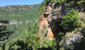 Trail On foot Lanuéjols - gorges du Trevezel Gard GPS - Photo 8