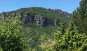 Trail On foot Lanuéjols - gorges du Trevezel Gard GPS - Photo 9