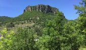 Trail On foot Lanuéjols - gorges du Trevezel Gard GPS - Photo 10
