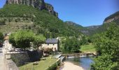 Excursión A pie Lanuéjols - gorges du Trevezel Gard GPS - Photo 12