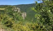 Trail On foot Lanuéjols - gorges du Trevezel Gard GPS - Photo 14