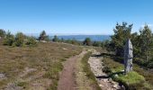 Tour Wandern Cubières - Station Mont Lozere- Pont de Monvert Stevenson - Photo 2