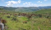 Tour Wandern Cubières - Station Mont Lozere- Pont de Monvert Stevenson - Photo 4