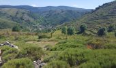 Tour Wandern Cubières - Station Mont Lozere- Pont de Monvert Stevenson - Photo 3