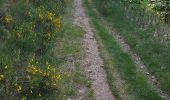 Trail Walking Chaudeyrac - Fouzilhac- La Bastide Puylaurent Stevenson - Photo 1