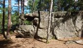 Trail Walking Fontainebleau - pso-170610 - FranchardHorsPiste - Photo 4