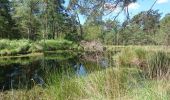 Trail Walking Fontainebleau - pso-170610 - FranchardHorsPiste - Photo 6