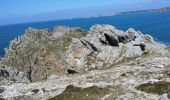 Trail Walking Crozon - la pointe de Dinan 10 km - Photo 2