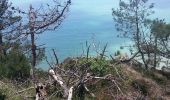 Trail Walking Crozon - Morgat - Le sentier du Menhir - Photo 5