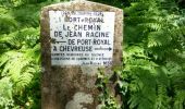 Trail Walking Saint-Rémy-lès-Chevreuse - dim 11 juin 2017 St Rémy les Chevreuse - Photo 6