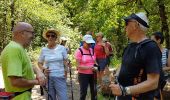 Trail Walking Châteldon - CLD-GM le 13-06-2017 - Photo 2