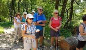 Trail Walking Châteldon - CLD-GM le 13-06-2017 - Photo 3