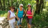 Trail Walking Châteldon - CLD-GM le 13-06-2017 - Photo 1