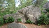 Tour Wandern Fontainebleau - 3pi-170613 - Apremont-MareSangliers - Photo 3