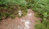 Trail Walking Fontainebleau - 3pi-170613 - Apremont-MareSangliers - Photo 7