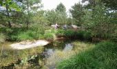 Trail Walking Fontainebleau - 3pi-170613 - Apremont-MareSangliers - Photo 9