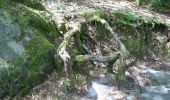 Trail Walking Fontainebleau - 3pi-170613 - Apremont-MareSangliers - Photo 12