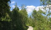 Trail Walking Waimes - Mont Rigi - Photo 4