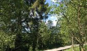 Trail Walking Waimes - Mont Rigi - Photo 3
