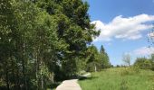 Trail Walking Waimes - Mont Rigi - Photo 2