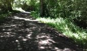 Trail Walking Ibos - boisduc - Photo 5
