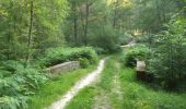 Trail Walking Gambaiseuil - _Entre forêt et clairières autour de Gambaiseuil - Photo 2