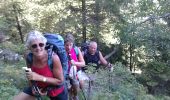 Trail Walking Châtelus - CHATELUS-le 18-06-2017 - Photo 13