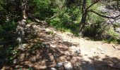 Trail Walking Araules - Tence-170620 - PicLisieux - Photo 10