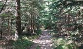 Trail Walking Araules - Tence-170620 - PicLisieux - Photo 18