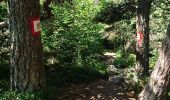 Trail Walking Araules - Tence-170620 - PicLisieux - Photo 3