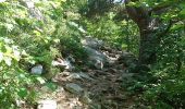 Trail Walking Araules - Tence-170620 - PicLisieux - Photo 9