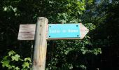 Trail Walking Araules - Tence-170620 - PicLisieux - Photo 14