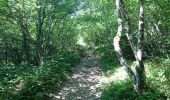 Trail Walking Araules - Tence-170620 - PicLisieux - Photo 11