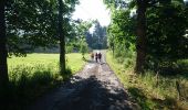 Trail Walking Tence - Tence-170621 - CreuxLoup-Beaudors - Photo 9