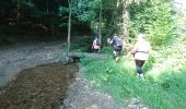Trail Walking Tence - Tence-170621 - CreuxLoup-Beaudors - Photo 8