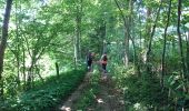Trail Walking Tence - Tence-170621 - CreuxLoup-Beaudors - Photo 5