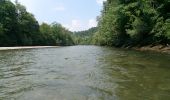 Excursión Otra actividad Düdingen - La Sarine en Paddle - Photo 18