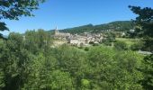 Tocht Andere activiteiten Conques-en-Rouergue - Atlamed Conques - Campuac - Photo 2