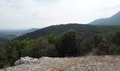 Trail Walking Plan-d'Aups-Sainte-Baume - autour de la sainte baume  - Photo 3