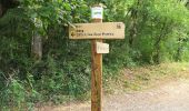 Trail Walking Montricoux - marche du trail des garrigues - Photo 1