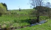 Tour Wandern Büllingen - Manderfeld langs de Our - Photo 6