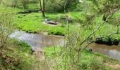 Tour Wandern Büllingen - Manderfeld langs de Our - Photo 1