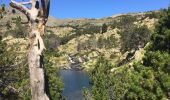 Trail Walking Formiguères - lacs des Camporells depuis le haut des pistes de Formigueres - Photo 2