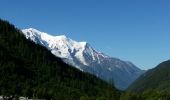 Tour Wandern Chamonix-Mont-Blanc - CHAMONIX (Aiguillette des Posettes) - Photo 4